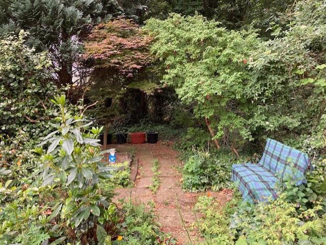 thumbnail_IMG_8846 garden 2.jpg
