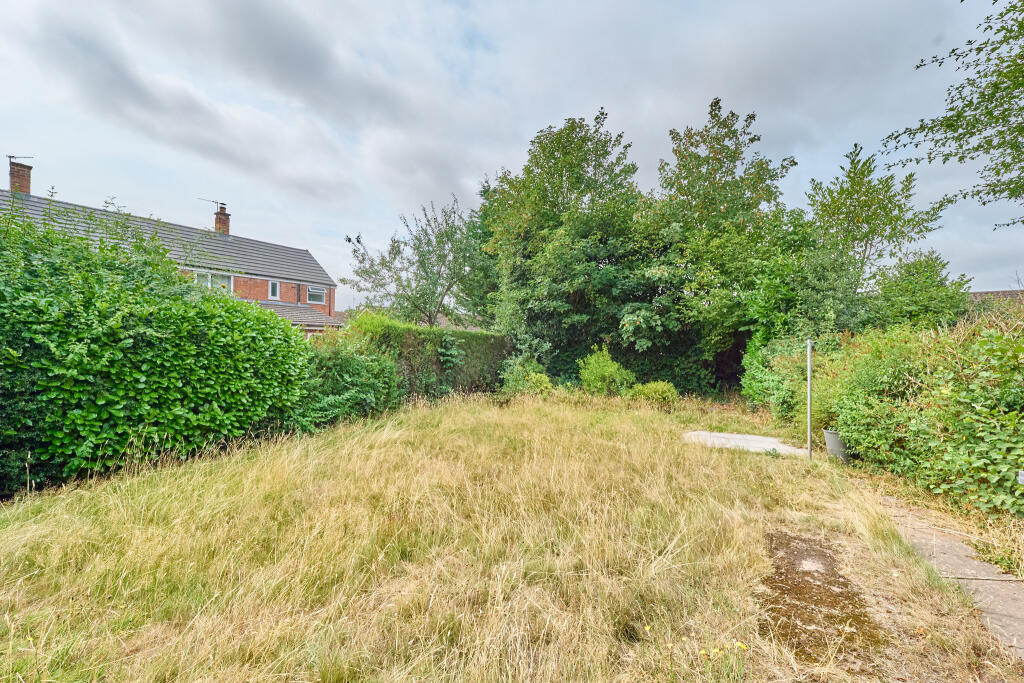 P1518582 T202508071858.jpg