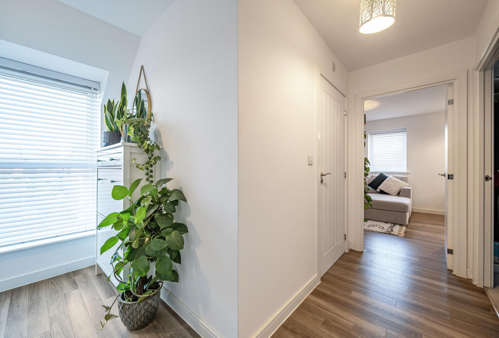 1356916-3-68d1a19...