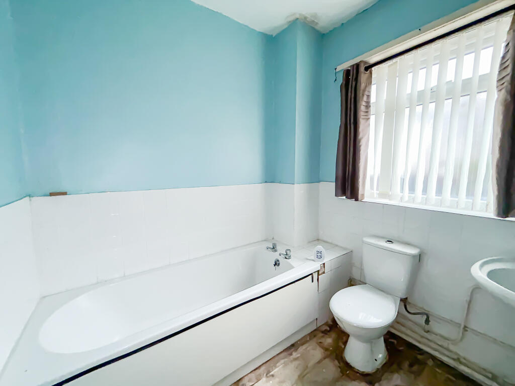 IMG 6796 T202510101021.jpg