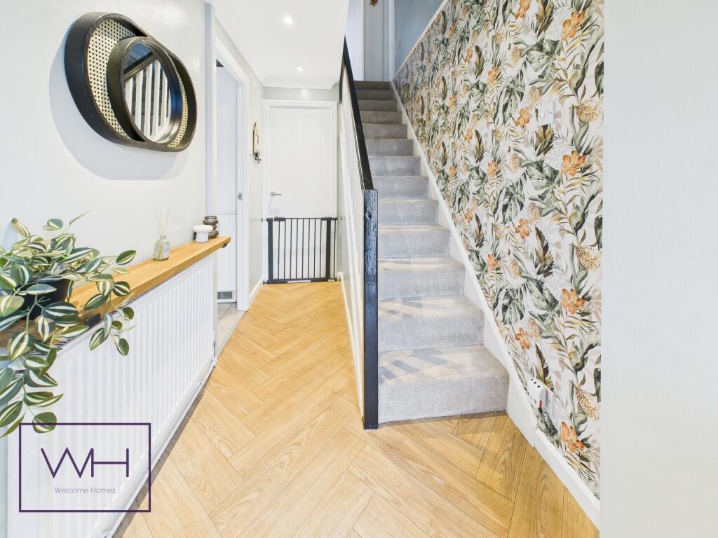 CAM03785G0-PR0215-ST