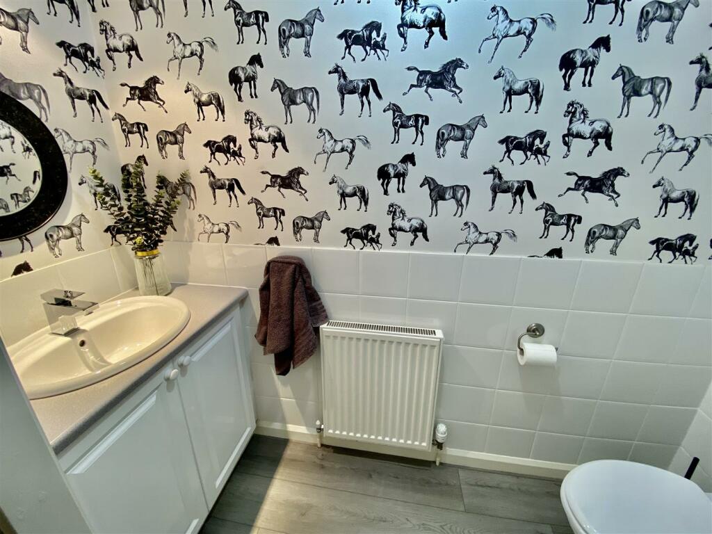 IMG_6159.jpeg