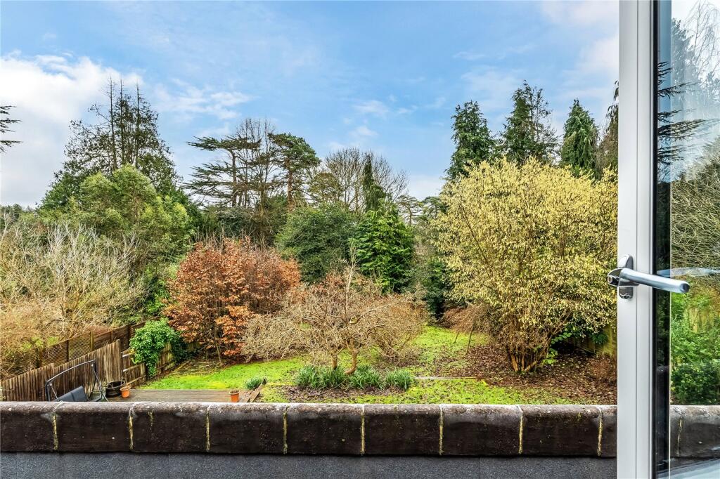 View To Garden