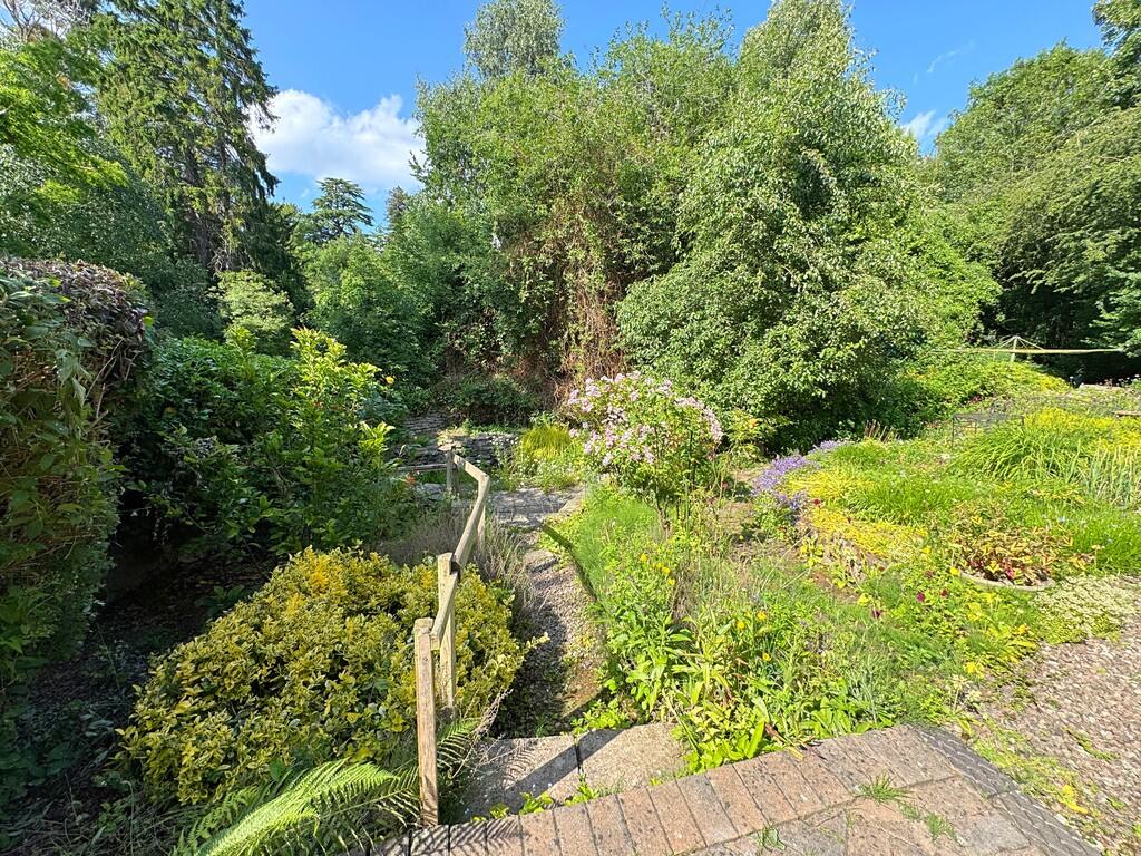 Garden (5)