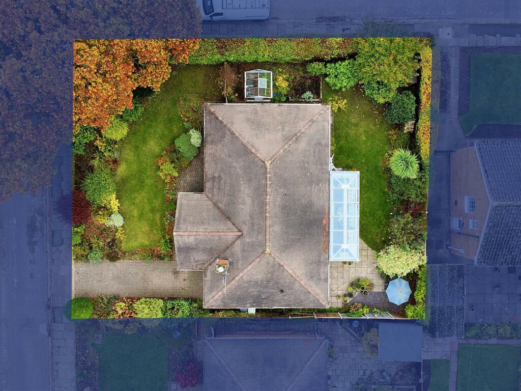 Drone_5.jpeg