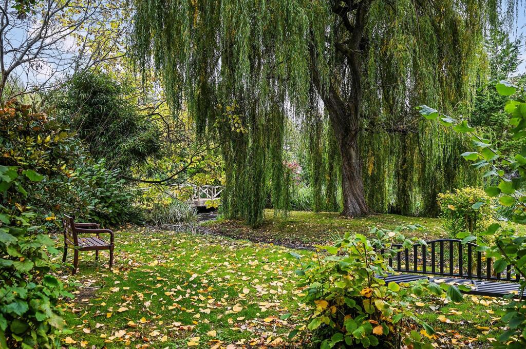 Ph8_6258918 - Copy.jpg