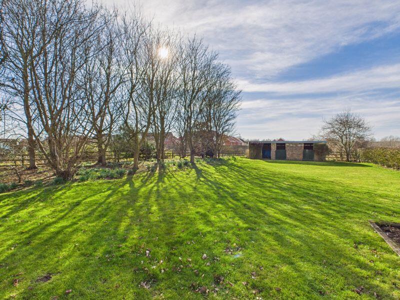 Paddock &amp; Stables