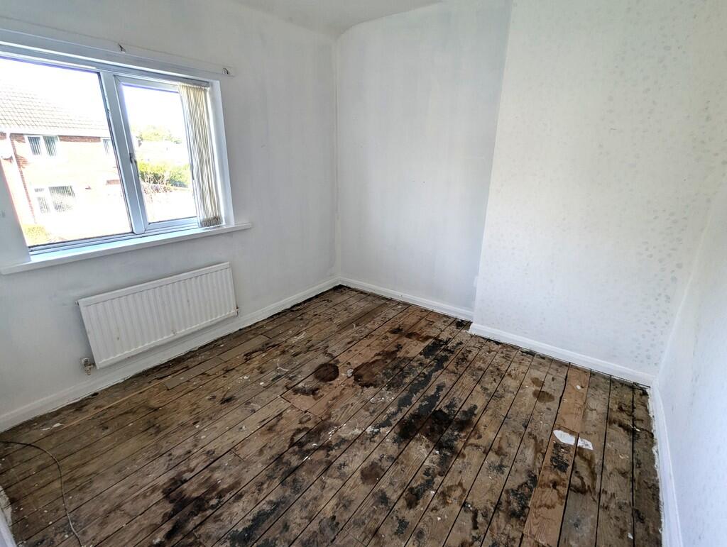 PXL_20251011_1102...