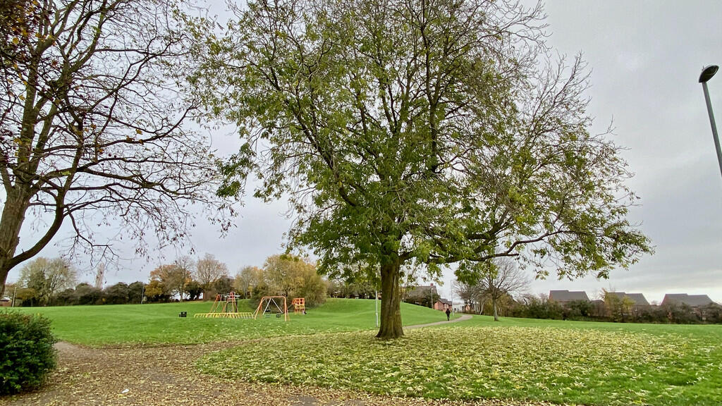 Local Park