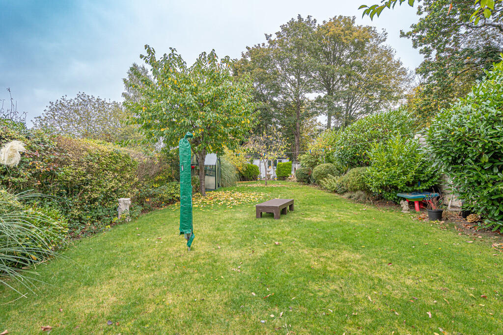 20251015-DSC06989...