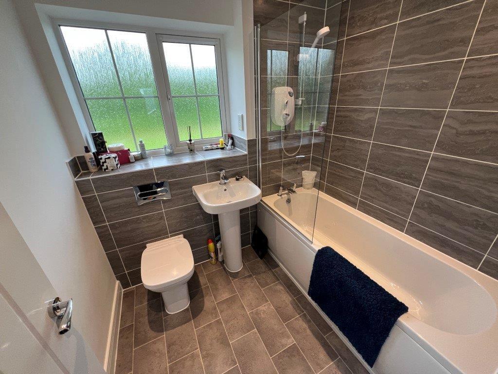 IMG_2178.jpg