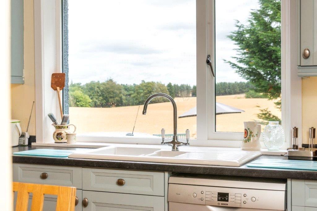 View From Kitchen
