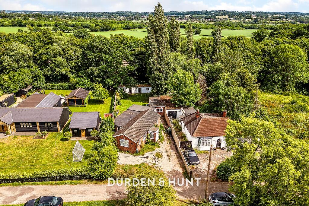 Theydon-3.1.jpg