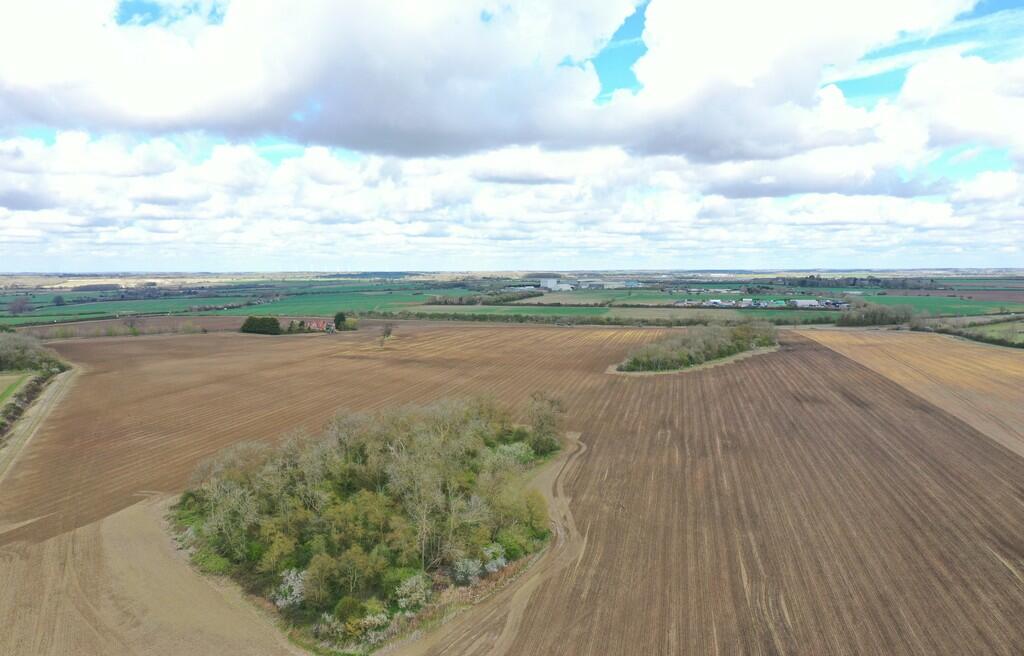 DJI_0101 cropped