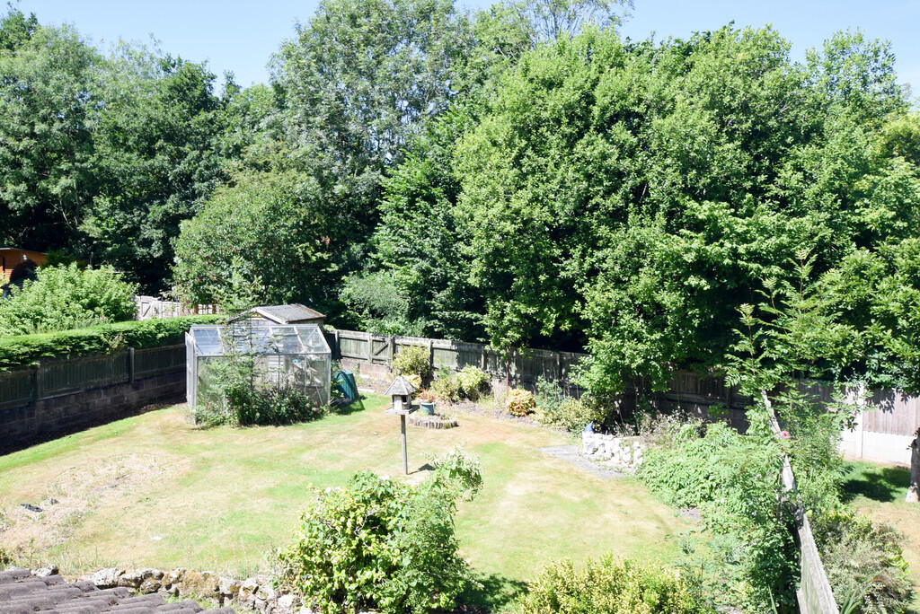Garden1_edited