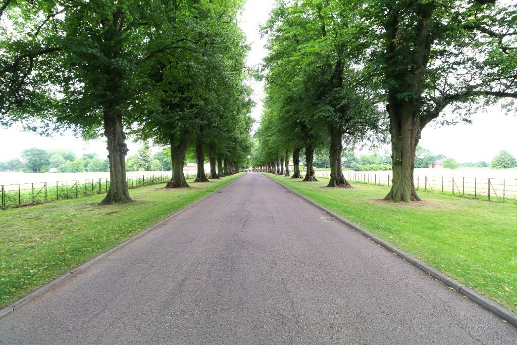Entrance Road