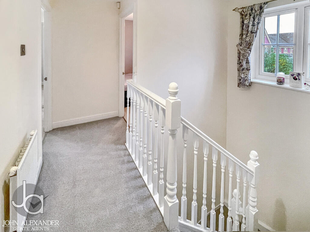 20241114_15003887...