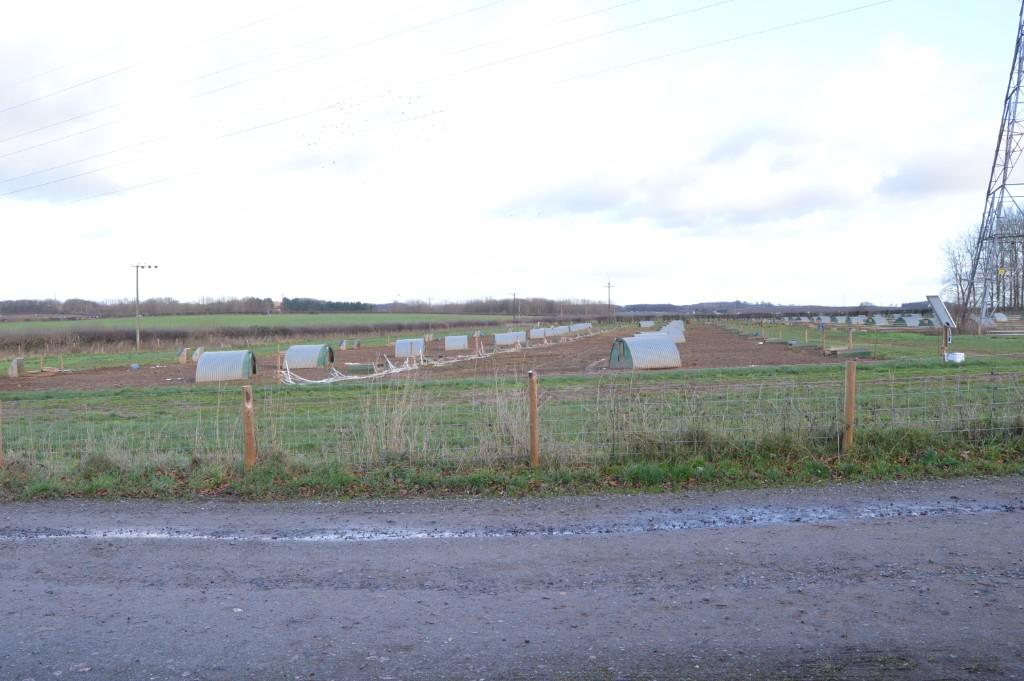 View to east