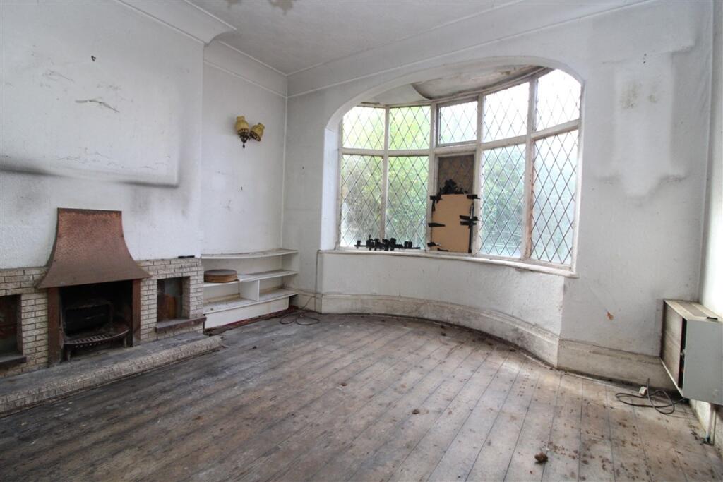 IMG 7178  Medium  T202510301105.jpg