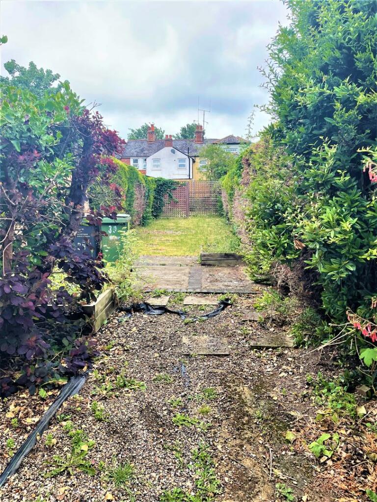 garden 1.jpg