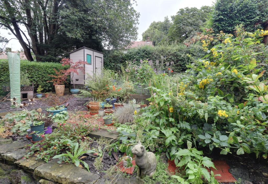 Back garden 1