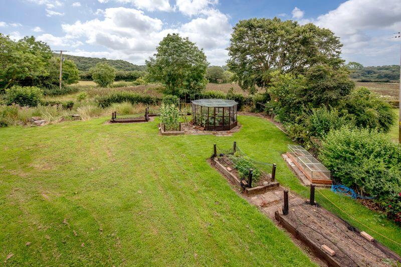 Vegetable garden
