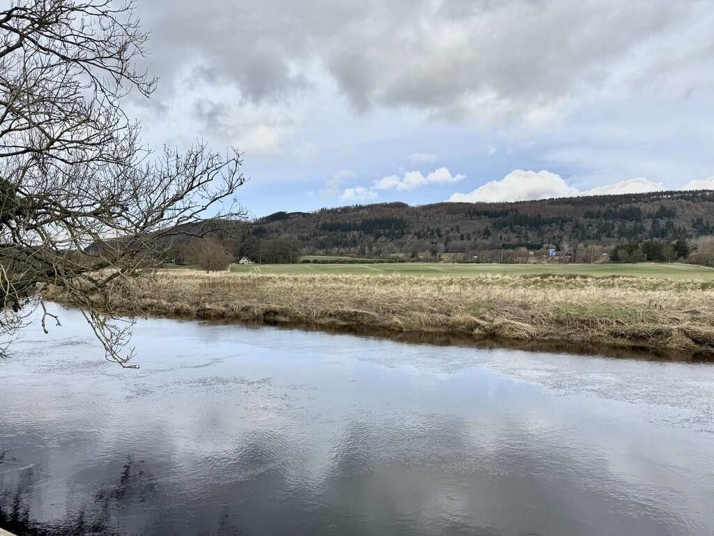 IMG_15682_16_larg...