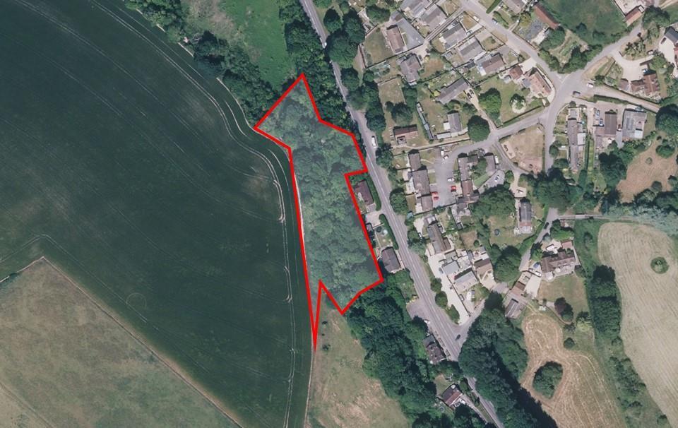 Woodland at Allington - Aerial.jpg