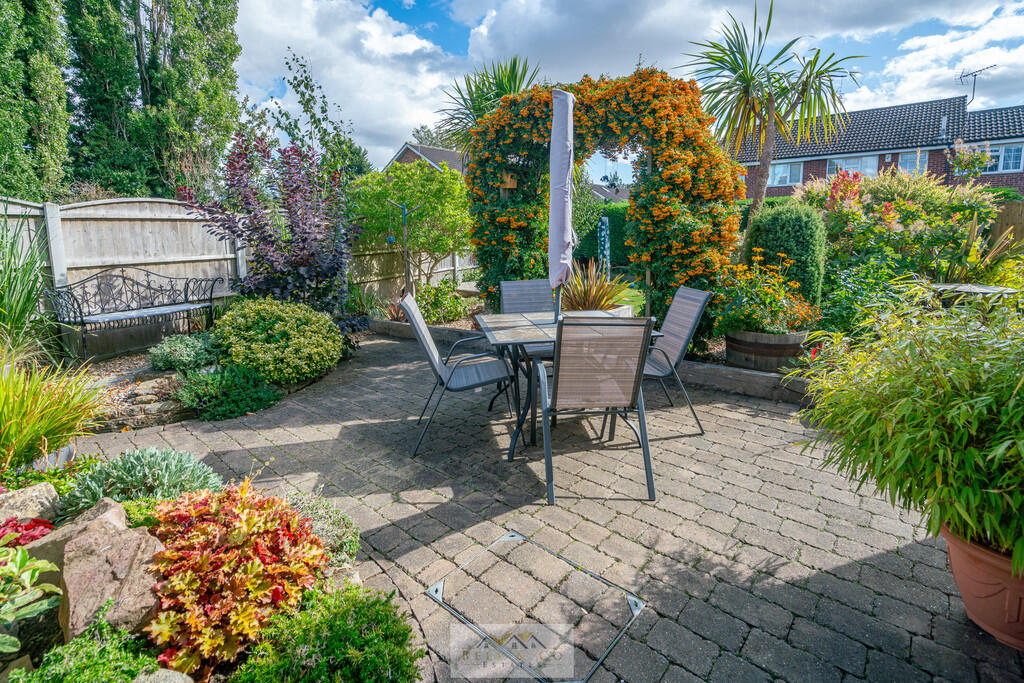 Back garden 1.1