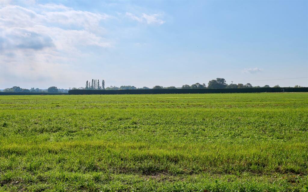 view to rear from garden