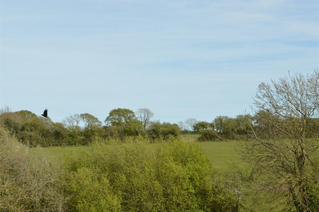 DSC_0386.JPG