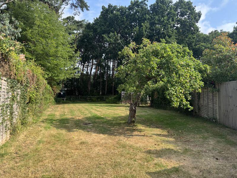 Back Garden