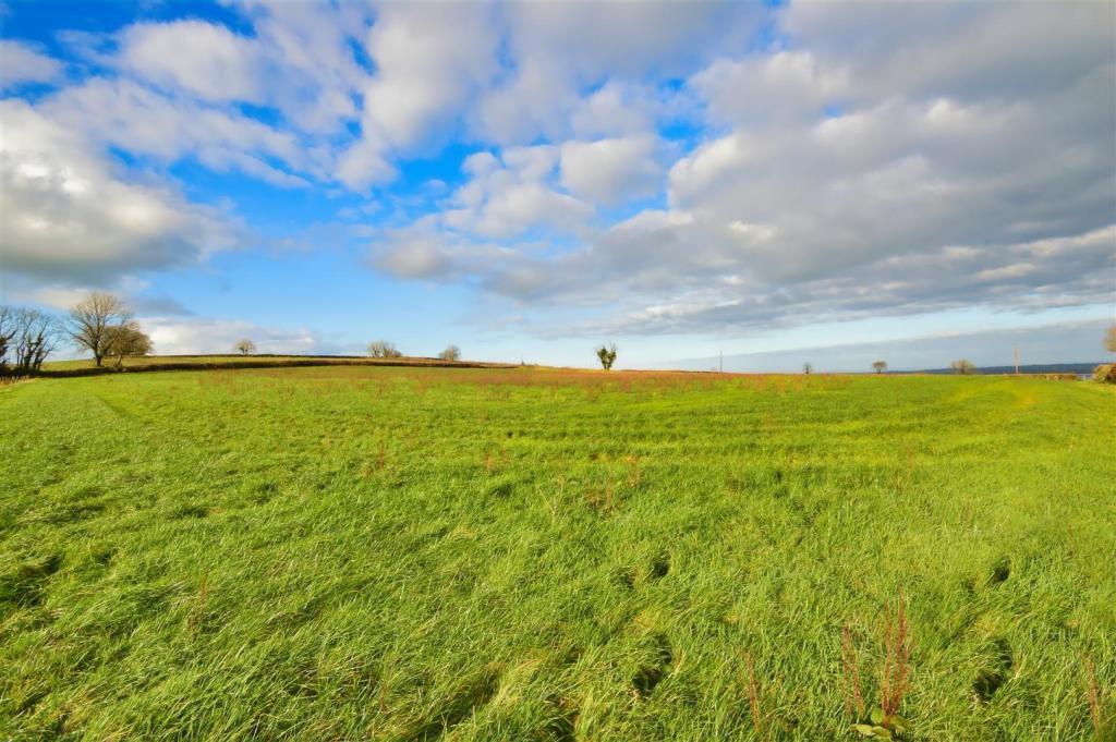 Grass Land