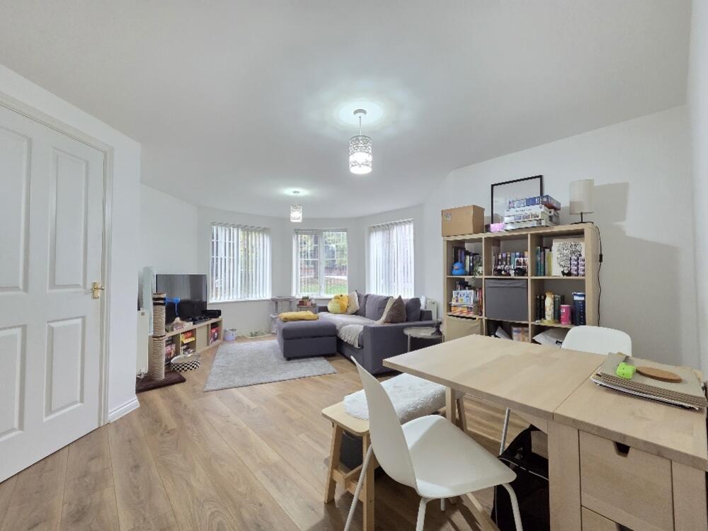 20251014_150236_resized