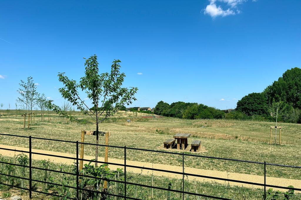 View from plot 10, 11