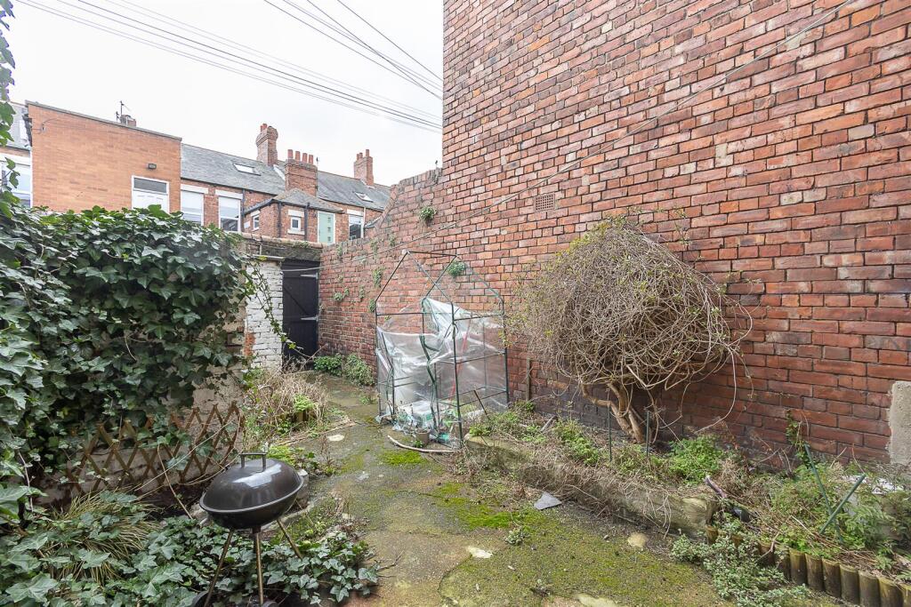 Rear Yard