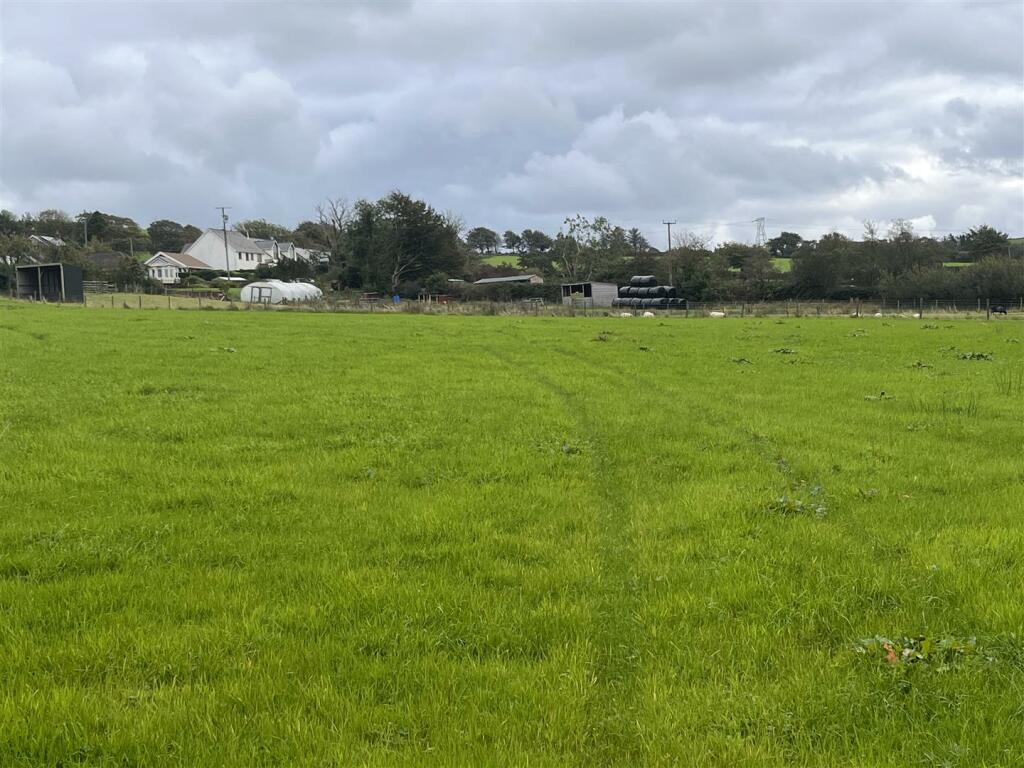 paddock