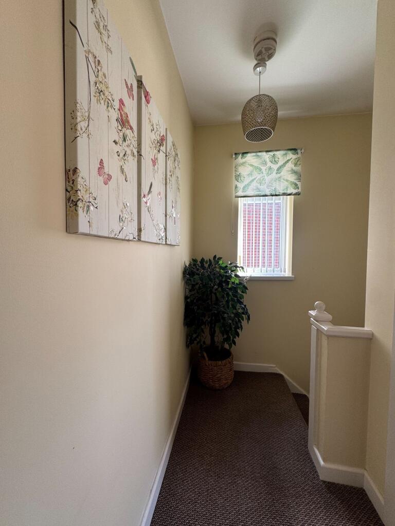 Photograph 12