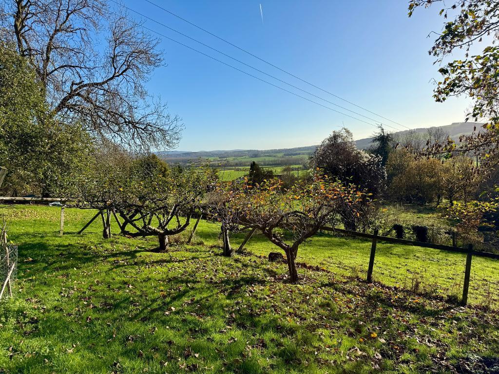 Countryside views