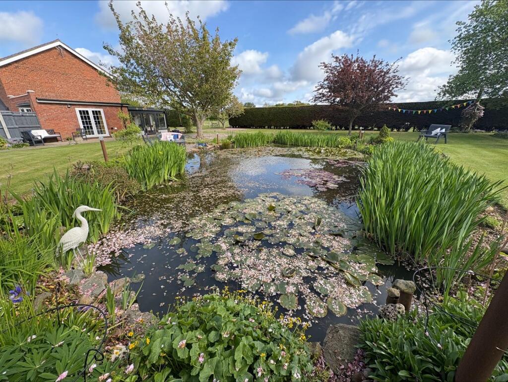 processed-3DD87937-9B1F-4F1A-8267-2343504918A5.jpe