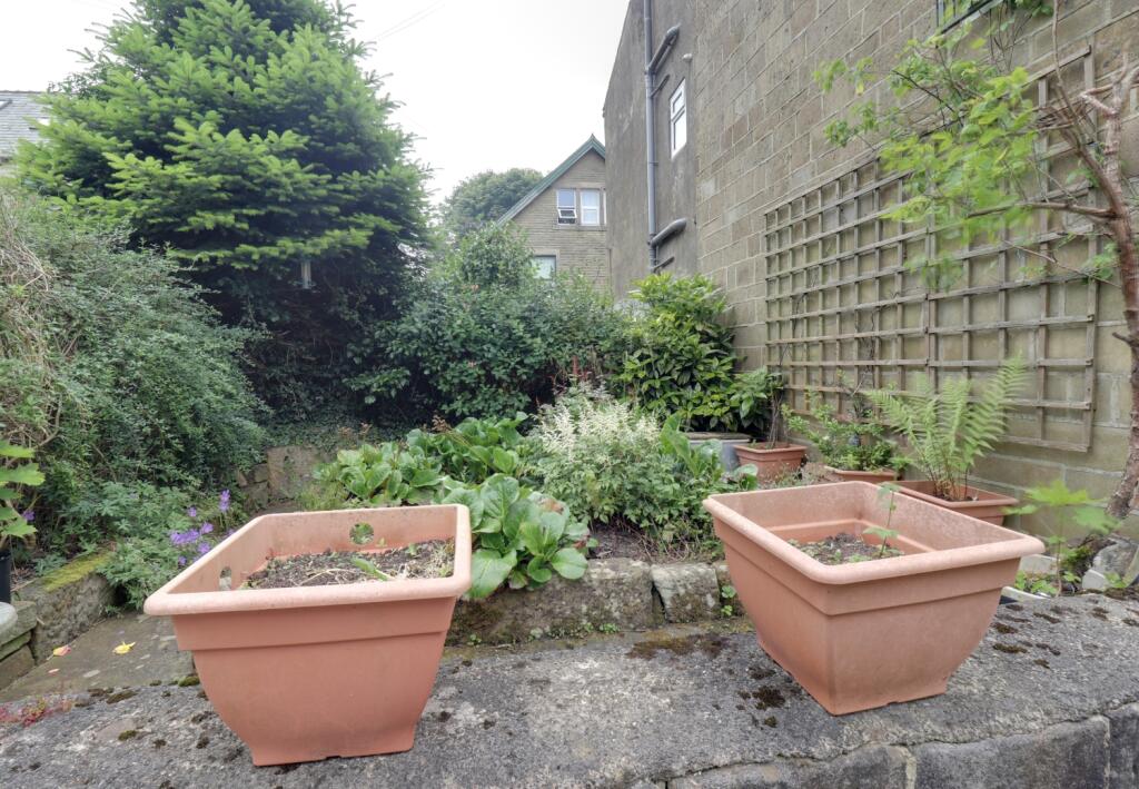 Garden 2