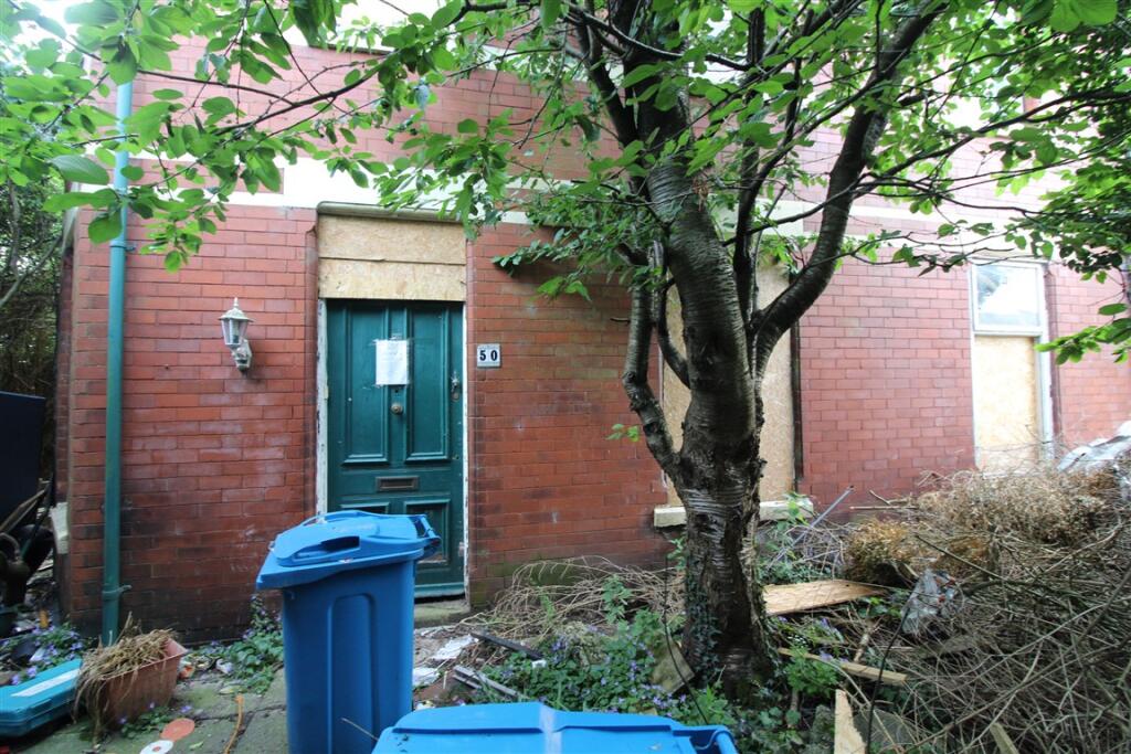 IMG 5806  Medium  T202507011133.jpg