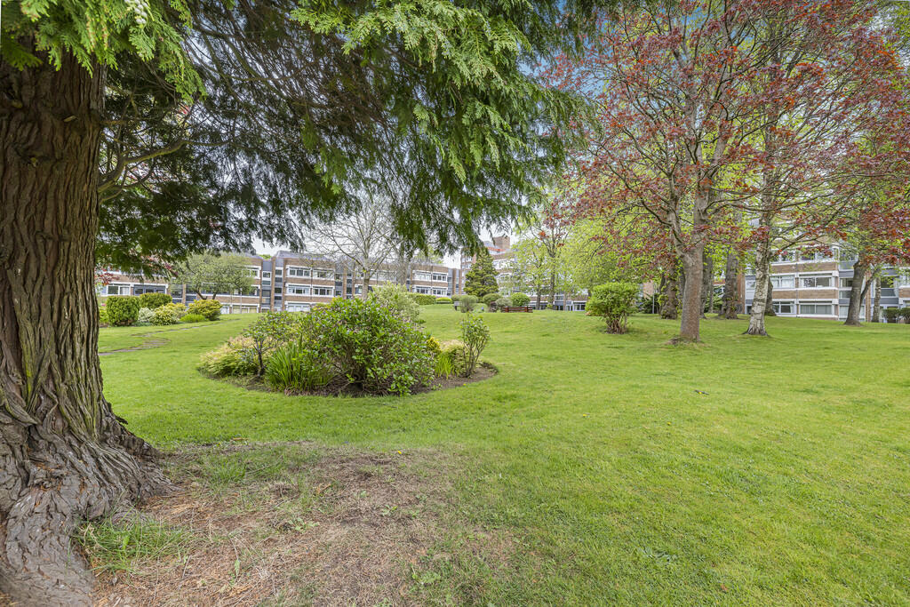 34-print-28 Lethi...