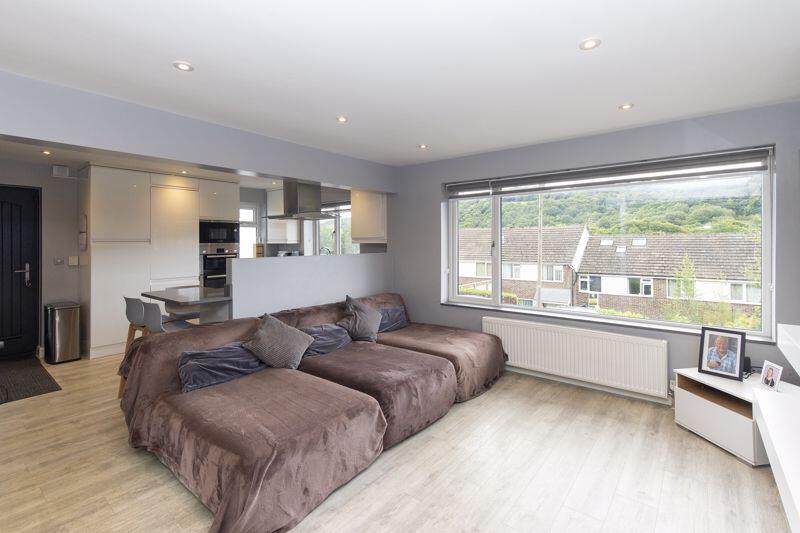 Living Room / Kitchen