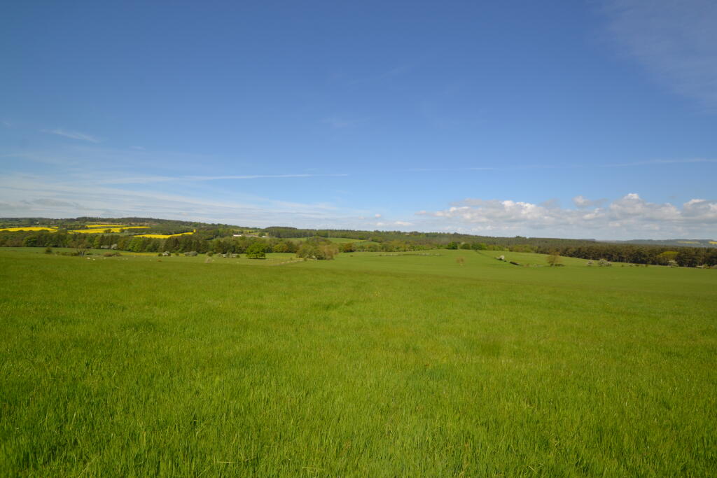 Lot 1