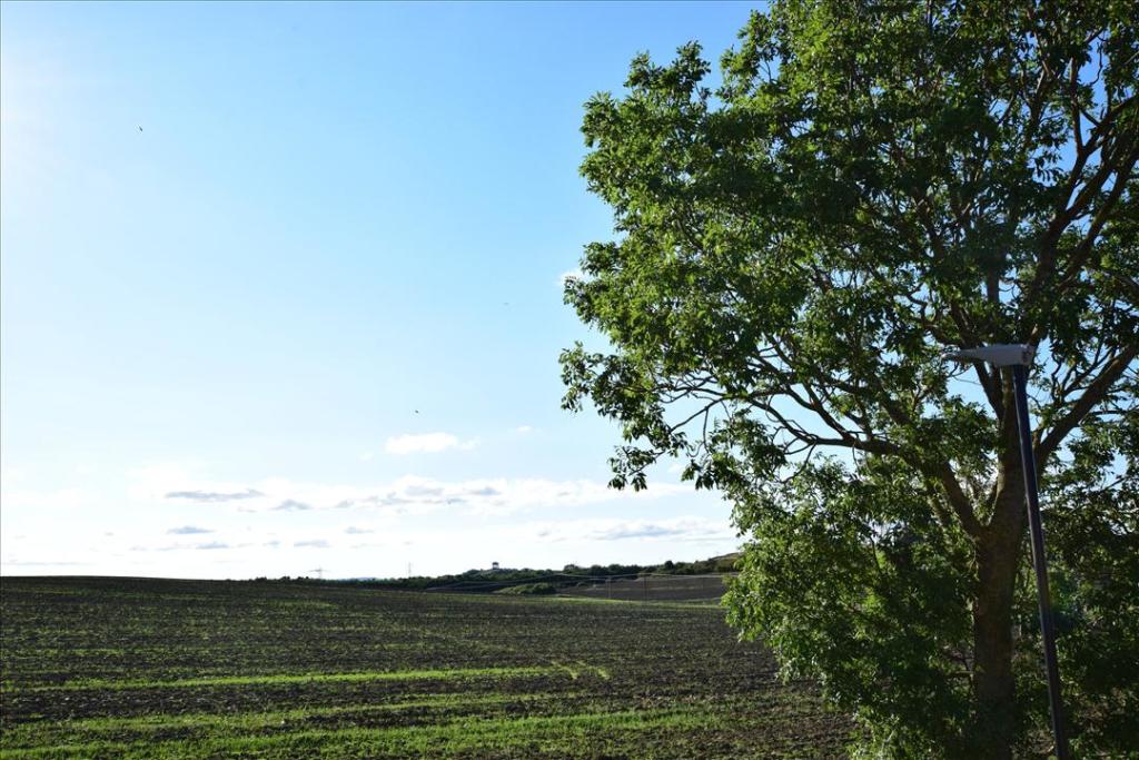 PLEASANT OUTLOOK