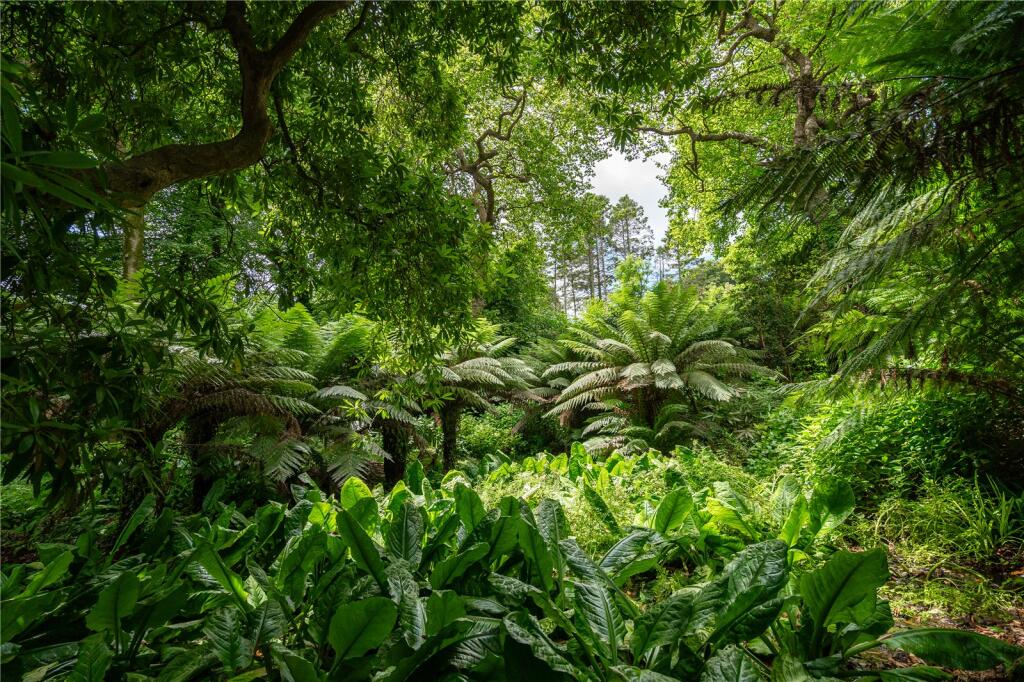 Grounds