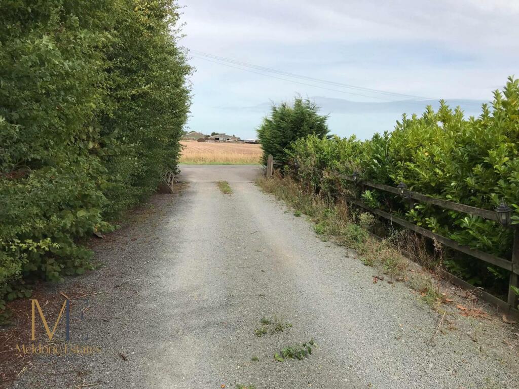 driveway.jpeg