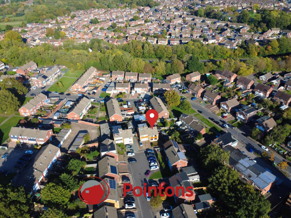 Aerial - Outline  (1).png