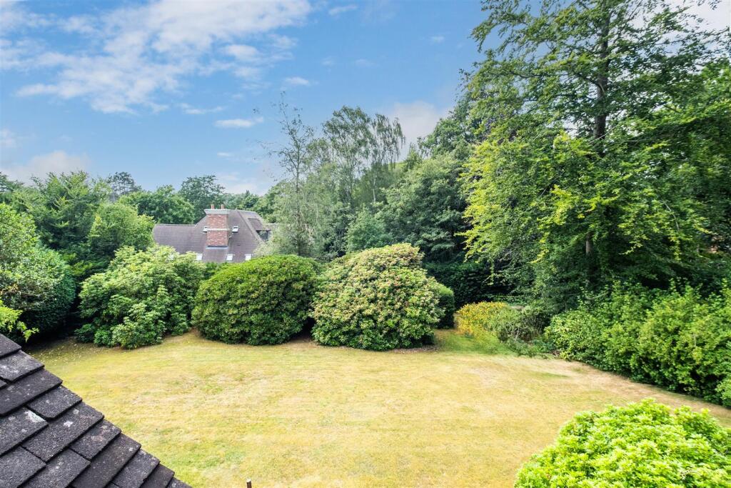 Full size-5 (Large).jpg